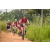 Team 313 / Raid Amazones Sri Lanka 2022 - J3 Run & Bike