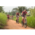 Team 33 / Raid Amazones Sri Lanka 2022 - J3 Run & Bike
