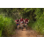 Team 338 / Raid Amazones Sri Lanka 2022 - J3 Run & Bike