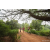 Team 322 / Raid Amazones Sri Lanka 2022 - J3 Run & Bike