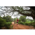 Team 46 / Raid Amazones Sri Lanka 2022 - J3 Run & Bike