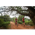 Team 70 / Raid Amazones Sri Lanka 2022 - J3 Run & Bike