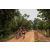 Team 14 / Raid Amazones Sri Lanka 2022 - J3 Run & Bike