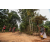 Team 318 / Raid Amazones Sri Lanka 2022 - J3 Run & Bike