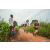 Team 324 / Raid Amazones Sri Lanka 2022 - J3 Run & Bike
