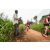 Team 339 / Raid Amazones Sri Lanka 2022 - J3 Run & Bike