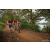 Team 338 / Raid Amazones Sri Lanka 2022 - J3 Run & Bike