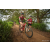 Team 58 / Raid Amazones Sri Lanka 2022 - J3 Run & Bike