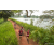 Team 338 / Raid Amazones Sri Lanka 2022 - J3 Run & Bike