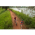 Team 18 / Raid Amazones Sri Lanka 2022 - J3 Run & Bike