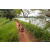 Team 34 / Raid Amazones Sri Lanka 2022 - J3 Run & Bike