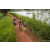 Team 91 / Raid Amazones Sri Lanka 2022 - J3 Run & Bike