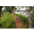 Team 57 / Raid Amazones Sri Lanka 2022 - J3 Run & Bike