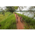 Team 67 / Raid Amazones Sri Lanka 2022 - J3 Run & Bike