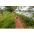 Team 92 / Raid Amazones Sri Lanka 2022 - J3 Run & Bike