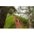 Team 56 / Raid Amazones Sri Lanka 2022 - J3 Run & Bike