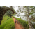 Team 04 / Raid Amazones Sri Lanka 2022 - J3 Run & Bike