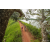 Team 16 / Raid Amazones Sri Lanka 2022 - J3 Run & Bike