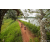 Team 12 / Raid Amazones Sri Lanka 2022 - J3 Run & Bike