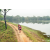 Team 310 / Raid Amazones Sri Lanka 2022 - J3 Run & Bike