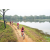 Team 55 / Raid Amazones Sri Lanka 2022 - J3 Run & Bike