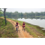 Team 19 / Raid Amazones Sri Lanka 2022 - J3 Run & Bike
