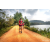 Team 85 / Raid Amazones Sri Lanka 2022 - J3 Run & Bike