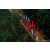 Raid Amazones Sri Lanka 2022 - J3 Run & Bike