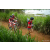 Team 313 / Raid Amazones Sri Lanka 2022 - J3 Run & Bike
