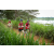 Team 91 / Raid Amazones Sri Lanka 2022 - J3 Run & Bike