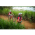 Team 61 / Raid Amazones Sri Lanka 2022 - J3 Run & Bike