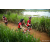 Team 71 / Raid Amazones Sri Lanka 2022 - J3 Run & Bike