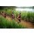 Team 10 / Raid Amazones Sri Lanka 2022 - J3 Run & Bike