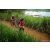 Team 27 / Raid Amazones Sri Lanka 2022 - J3 Run & Bike