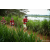 Team 87 / Raid Amazones Sri Lanka 2022 - J3 Run & Bike