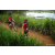 Team 36 / Raid Amazones Sri Lanka 2022 - J3 Run & Bike