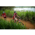 Team 30 / Raid Amazones Sri Lanka 2022 - J3 Run & Bike