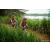Team 42 / Raid Amazones Sri Lanka 2022 - J3 Run & Bike