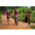 Team 56 / Raid Amazones Sri Lanka 2022 - J3 Run & Bike