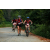 Team 06 / Raid Amazones Sri Lanka 2022 - J3 Run & Bike