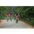 Team 338 / Raid Amazones Sri Lanka 2022 - J3 Run & Bike