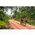 Team 340 / Raid Amazones Sri Lanka 2022 - J3 Run & Bike