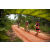 Team 339 / Raid Amazones Sri Lanka 2022 - J3 Run & Bike