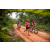 Team 322 / Raid Amazones Sri Lanka 2022 - J3 Run & Bike