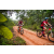 Team 14 / Raid Amazones Sri Lanka 2022 - J3 Run & Bike