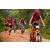 Team 335 / Raid Amazones Sri Lanka 2022 - J3 Run & Bike
