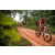 Team 335 / Raid Amazones Sri Lanka 2022 - J3 Run & Bike