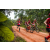 Team 335 / Raid Amazones Sri Lanka 2022 - J3 Run & Bike