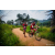 Team 28 / Raid Amazones Sri Lanka 2022 - J3 Run & Bike