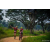 Team 63 / Raid Amazones Sri Lanka 2022 - J3 Run & Bike